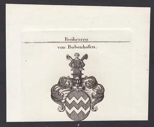 Freiherren von Bubenhofen - Bubenhofen Österreich Baden-Württemberg Wappen Adel coat of arms heraldry Heraldik