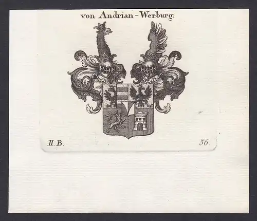 von Andrian-Werburg - Andrian-Werburg Italien Italia Italy Wappen Adel coat of arms heraldry Heraldik Kupferst