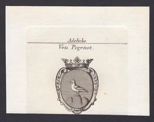 Von Pigenot - Pigenot Wappen Adel coat of arms heraldry Heraldik Kupferstich antique print