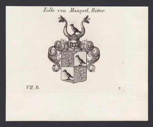 Edle von Mangstl, Ritter - Mangstl Ritter Wappen Adel coat of arms heraldry Heraldik Kupferstich antique print