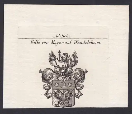 Edle von Mayer auf Wandelsheim - Mayer Wandelsheim Maier Wappen Adel coat of arms heraldry Heraldik Kupferstic