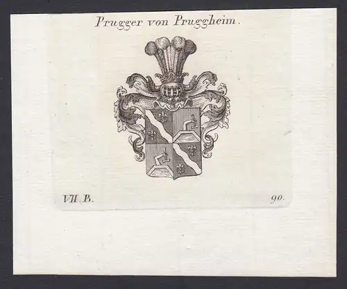 Prugger von Pruggheim - Prugger Pruggheim Tirol Wappen Adel coat of arms heraldry Heraldik Kupferstich antique