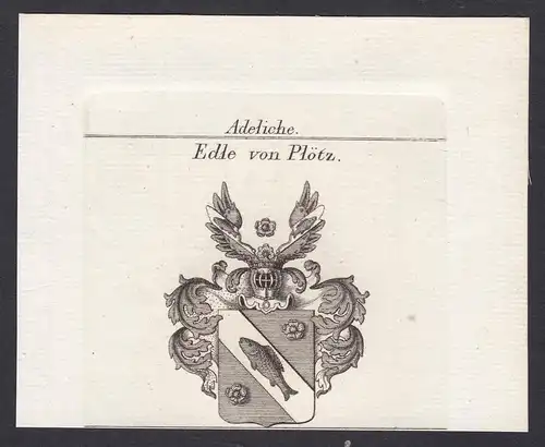Edle von Plötz - Plötz Ploetz Bayern Wappen Adel coat of arms heraldry Heraldik Kupferstich antique print