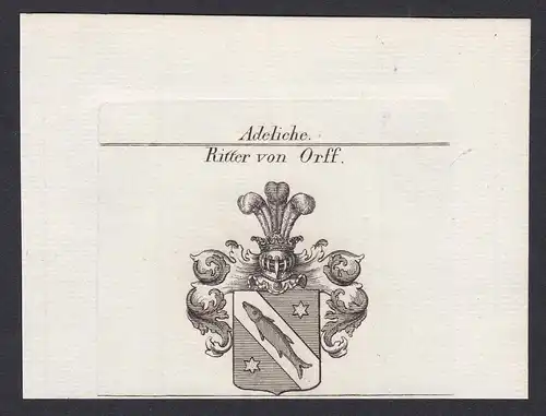 Ritter von Orff - Orff Frohburg Ritter Wappen Adel coat of arms heraldry Heraldik Kupferstich antique print