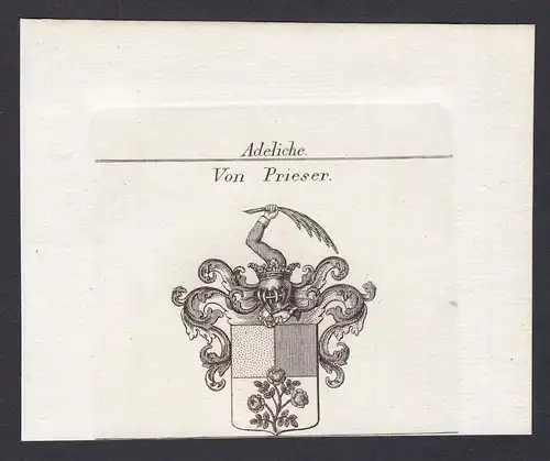 Von Prieser - Prieser Wappen Adel coat of arms heraldry Heraldik Kupferstich antique print