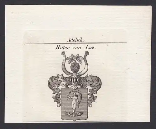 Ritter von Luz - Luz Lutz Wappen Adel coat of arms heraldry Heraldik Kupferstich antique print