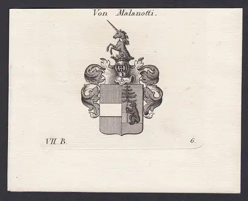Von Malanotti - Malanotti Wappen Adel coat of arms heraldry Heraldik Kupferstich antique print