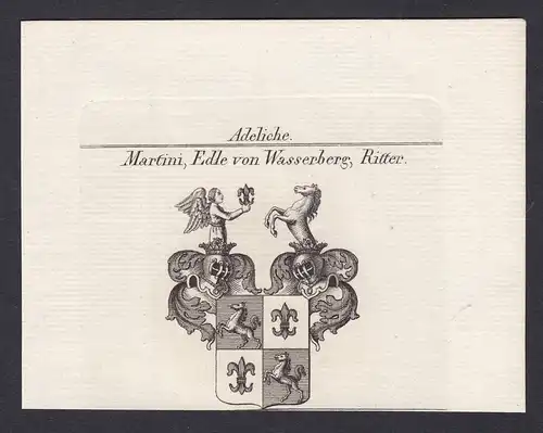 Martini, Edle von Wasserberg, Ritter - Martini Wasserberg Wappen Adel coat of arms heraldry Heraldik Kupfersti