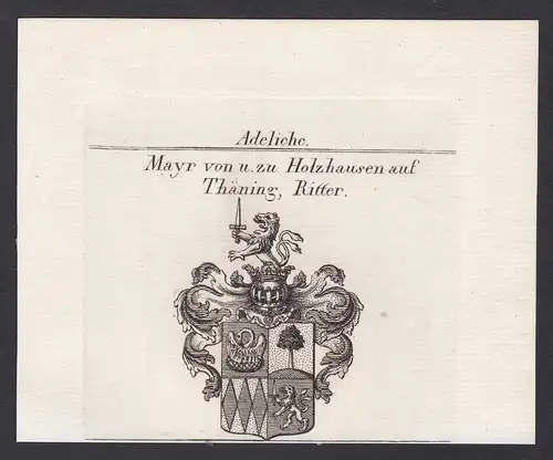 Mayr von u. zu Holzhausen auf Thäning, Ritter - Mayr Holzhausen Thäning Wappen Adel coat of arms heraldry Hera