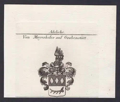 Von Mayerhofer auf Grabenstätt - Mayerhofer Grabenstätt Bayern Wappen Adel coat of arms heraldry Heraldik Kupf