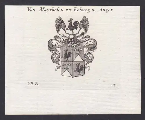 Von Mayrhofen zu Koburg u. Anger - Mayrhofen Koburg Anger Wappen Adel coat of arms heraldry Heraldik Kupfersti