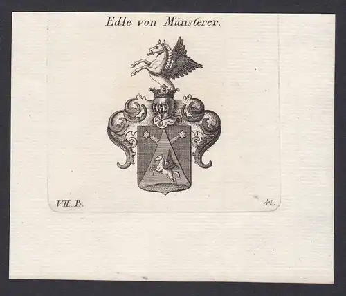 Edle von Münsterer - Münsterer Muensterer Wappen Adel coat of arms heraldry Heraldik Kupferstich antique print