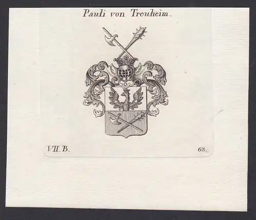 Pauli von Treuheim - Treuheim Pauli Wappen Adel coat of arms heraldry Heraldik Kupferstich antique print