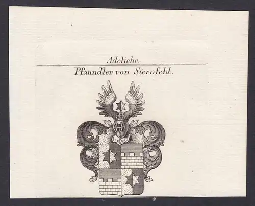 Pfaundler von Sternfeld - Pfaundler Sternfeld Wappen Adel coat of arms heraldry Heraldik Kupferstich antique p