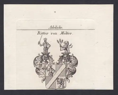 Ritter von Mölter - Mölter Moelter Wappen Adel coat of arms heraldry Heraldik Kupferstich antique print