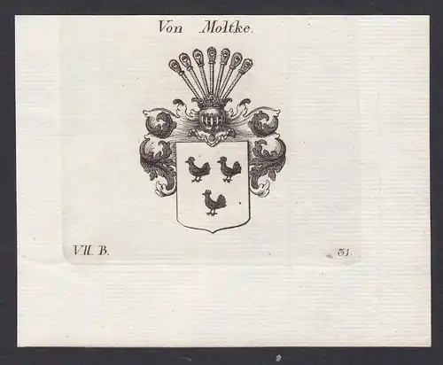 Von Moltke - Moltke Mecklenburg Wappen Adel coat of arms heraldry Heraldik Kupferstich antique print