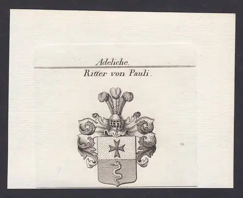 Ritter von Pauli - Pauli Ritter Wappen Adel coat of arms heraldry Heraldik Kupferstich antique print