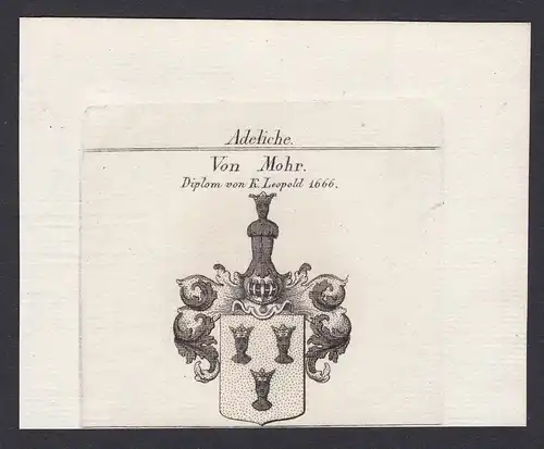 Von Mohr. Diplom von K. Leopold 1666 - Mohr Moor Wappen Adel coat of arms heraldry Heraldik Kupferstich antiqu