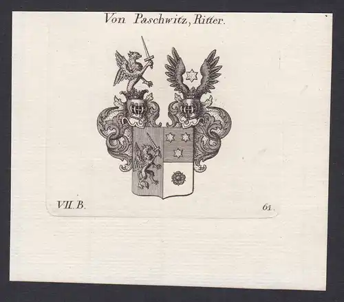 Von Paschwitz, Ritter - Paschwitz Bayreuth Wappen Adel coat of arms heraldry Heraldik Kupferstich antique prin