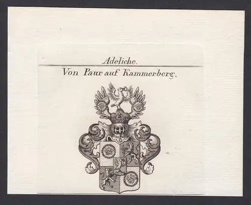 Von Paur auf Kammerberg - Paur Bayern Kammerberg Wappen Adel coat of arms heraldry Heraldik Kupferstich antiqu