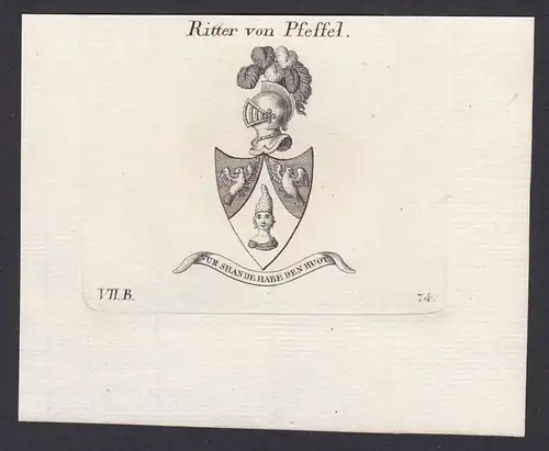 Ritter von Pfeffel - Pfeffel Ritter Wappen Adel coat of arms heraldry Heraldik Kupferstich antique print