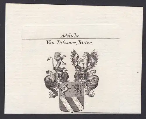 Von Passauer, Ritter - Passauer Passau Wappen Adel coat of arms heraldry Heraldik Kupferstich antique print