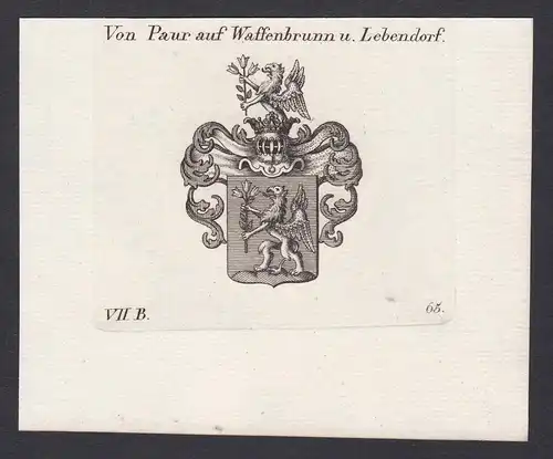 Von Paur auf Waffenbrunn u. Lebendorf - Paur Lebendorf Waffenbrunn Wappen Adel coat of arms heraldry Heraldik