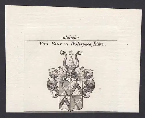 Von Paur zu Wollspach, Ritter - Wollspach Paur Ritter Wappen Adel coat of arms heraldry Heraldik Kupferstich a