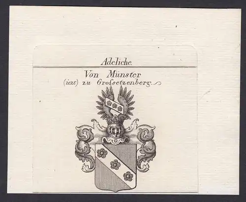 Von Münster (iezt) zu Grossetzenberg - Münster Großetzenberg Wappen Adel coat of arms heraldry Heraldik Kupfer