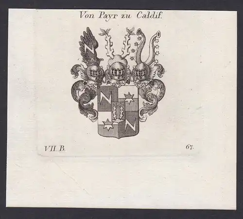 Von Payr zu Caldif - Caldif Payr Wappen Adel coat of arms heraldry Heraldik Kupferstich antique print