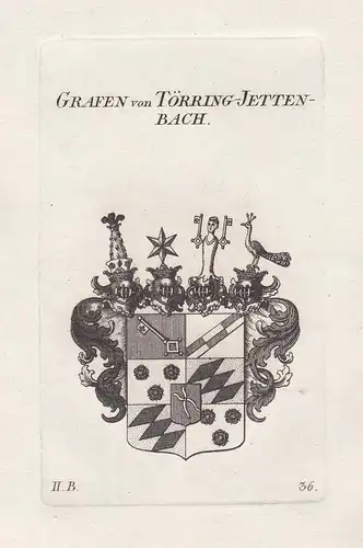 Grafen von Törring-Jettenbach - Bayern Toerring Wappen coat of arms heraldry Heraldik Kupferstich antique prin