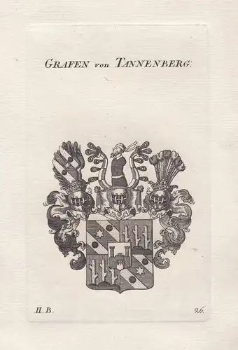 Grafen von Tannenberg - Tannenberg Wappen coat of arms heraldry Heraldik Kupferstich antique print