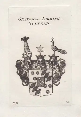 Grafen von Töring-Seefeld - Toerring Bayern Wappen coat of arms heraldry Heraldik Kupferstich antique print