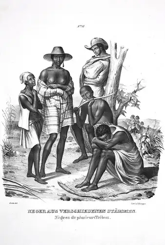 Neger aus verschiedenen Stämmen / Negres de plusieurs Tribus - Neger Negres Stämmen tribus tribes tribe Lithog