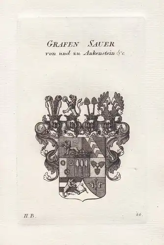 Grafen Sauer von und zu Ankenstein - Sauer Ankenstein Wappen coat of arms heraldry Heraldik Kupferstich antiqu