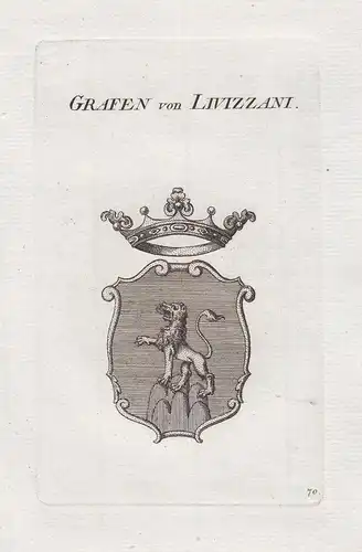 Grafen von Livizzani - Livizzani Wappen coat of arms Genealogie Kupferstich copper engraving antique print