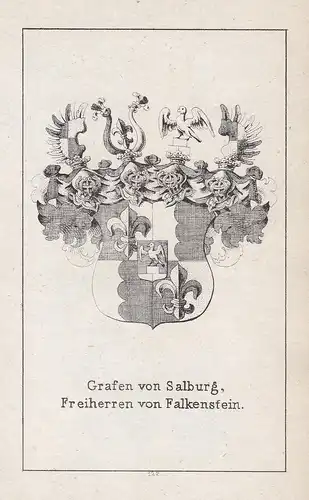 Grafen von Salburg, Freiherren von Falkenstein - Salburg Falkenstein Bavaria Bayern Wappen heraldry Heraldik c