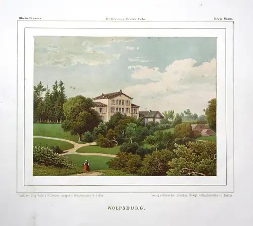 Wolfsburg - Haus Wittgenstein Roisdorf Bornheim Ansicht view Lithographie lithograph Litho