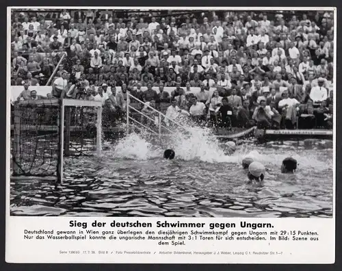 Sieg der deutschen Schwimmer gegen Ungarn - Pressefoto Aktueller Bilderdienst Serie 1366 bS - Bild 8