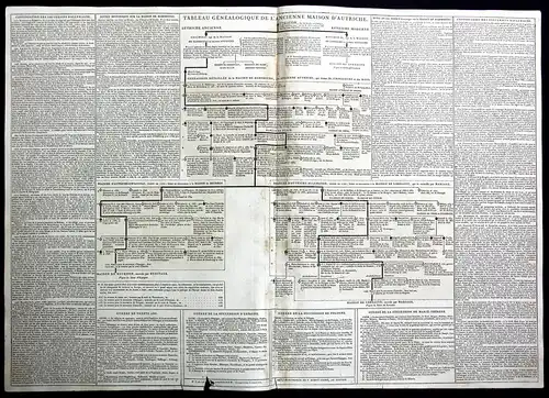 Tableau genealogique de l'ancienne maison d'Autriche - Stammbaum family tree Genealogie history Österreich Aus