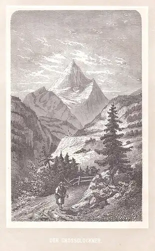 Der Grossglockner - Großglockner Österreich Ansicht view Holzstich antique print