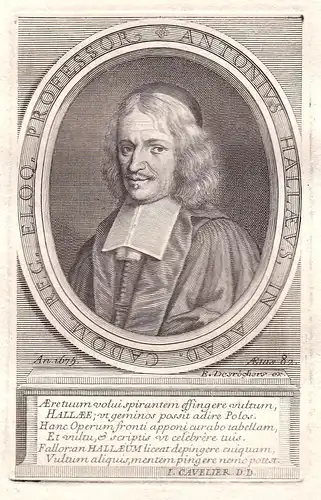 Antonius Hallaeus - Antoine Halley poete professeur Bois Caen gravure Portrait Kupferstich antique print