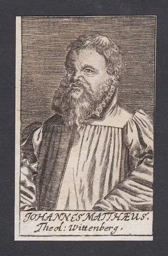 Johannes Matthaeus / Johannes Matthaeus / theologian Theologe Wittenberg
