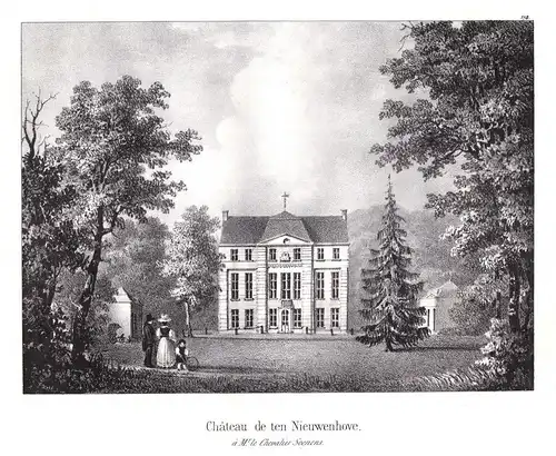 Chateau de ten Nieuwenhove - Nieuwenhove Flandern Schloss chateau Lithographie Cloet Belgique Belgien