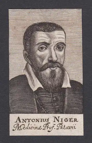 Antonius Niger / Antonius Niger Melas / Breslau Braunschweig Erfurt Wittenberg Posen Marburg Padova physician
