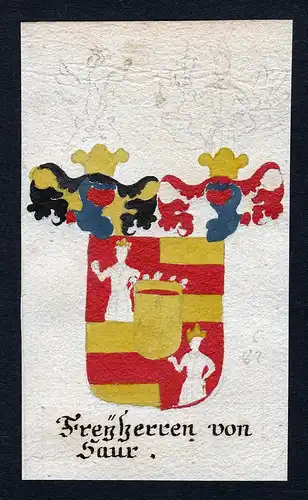 Freyherren von Saur - Saur Böhmen Manuskript Wappen Adel coat of arms heraldry Heraldik