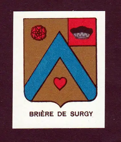 Briere de Surgy - Briere de Surgy Wappen Adel coat of arms heraldry Lithographie  blason