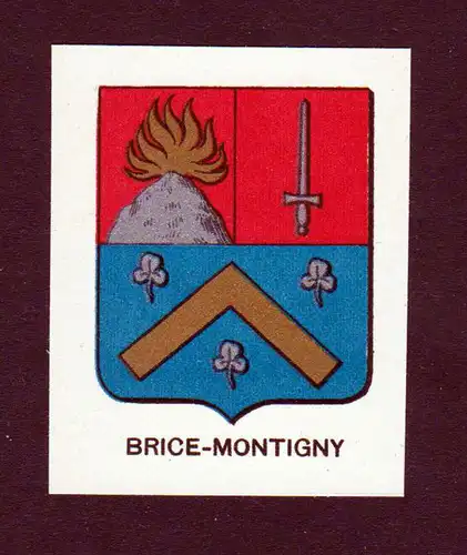 Brice-Montigny - Brice de Montigny Wappen Adel coat of arms heraldry Lithographie  blason