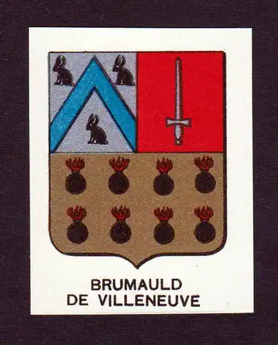 Brumauld de Villeneuve - Brumauld de Villeneuve Wappen Adel coat of arms heraldry Lithographie  blason