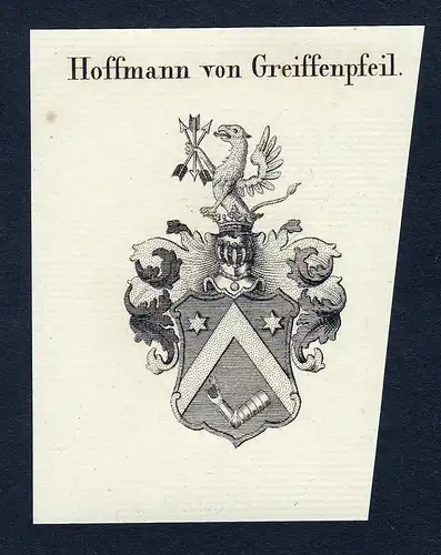 Hoffmann von Greiffenpfeil - Hoffmann von Greiffenpfeil Wappen Adel coat of arms Kupferstich  heraldry Heraldi